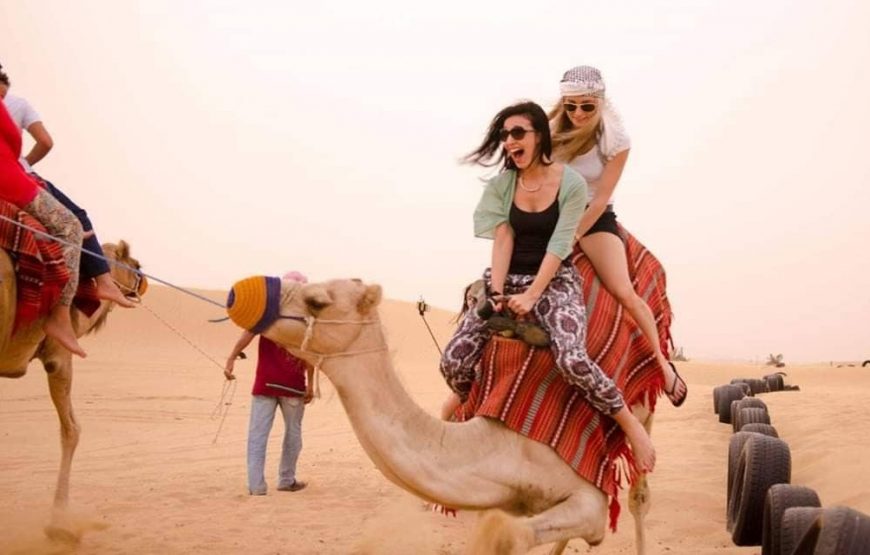 Camel Tekking In Dubai